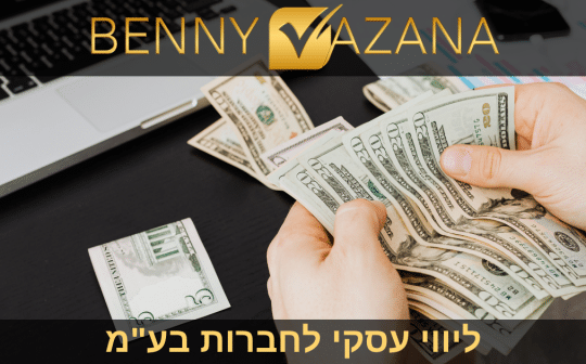 בני וזנה ליווי עסקי לחברות בע"מ